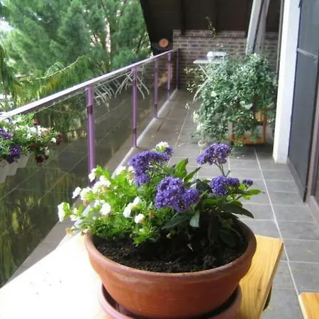 Virginija Daire Ditscheid