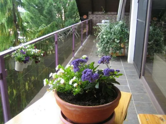 Virginija Apartment Ditscheid